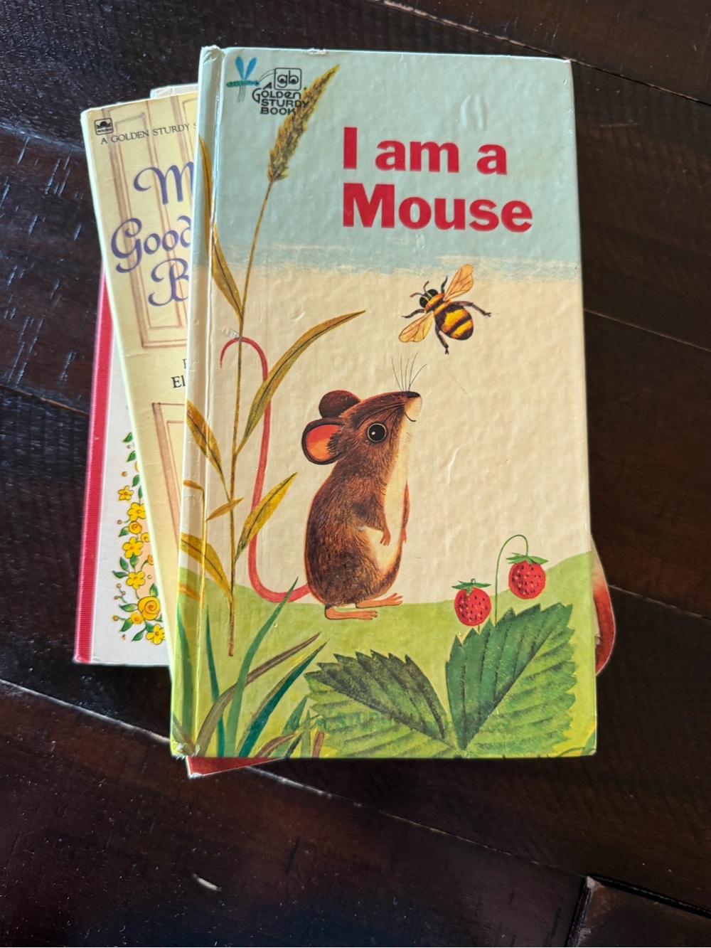 Vintage Set of 5 Baby Board Books